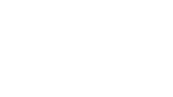 A green background with white lettering that says " petes physical ".