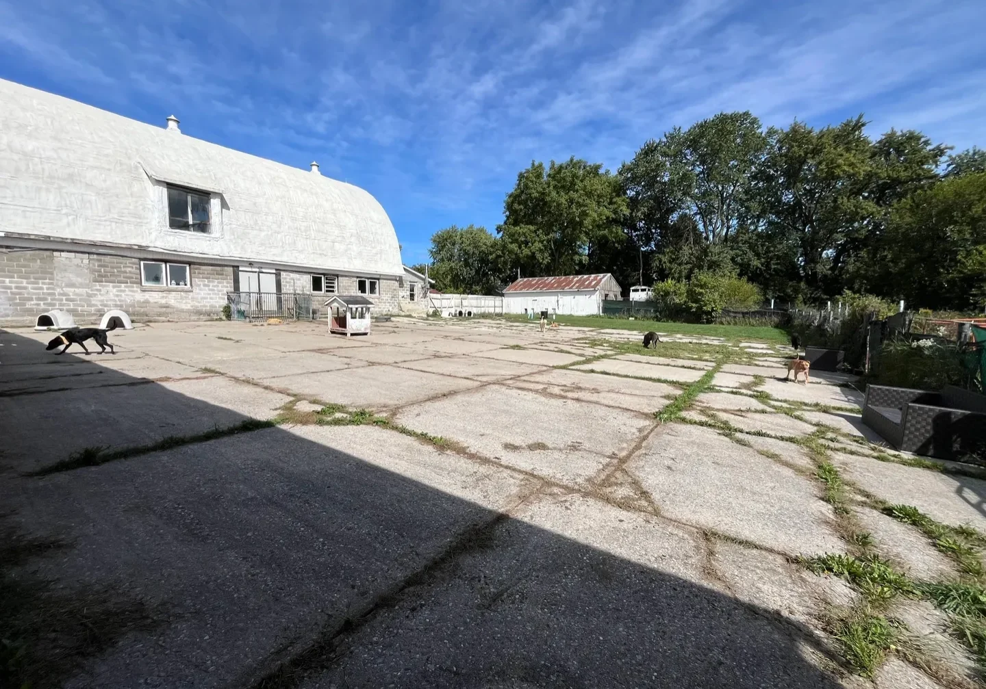 A large concrete slab with grass growing on it.